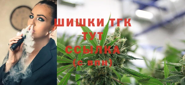 ешки Аркадак